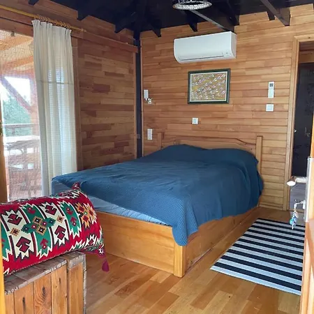 Trinitys Forest קמר