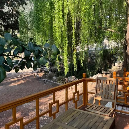 דירה Trinitys Forest *