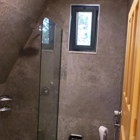 Trinitys Forest קמר