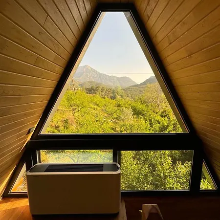 Trinitys Forest דירה